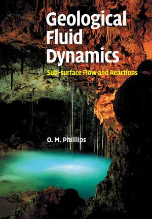 Geological Fluid Dynamics: Sub-surface Flow and Reactions de Owen M. Phillips