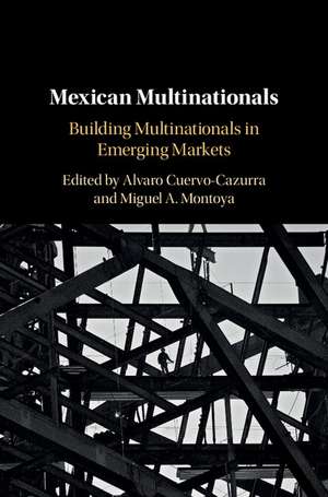 Mexican Multinationals: Building Multinationals in Emerging Markets de Alvaro Cuervo-Cazurra