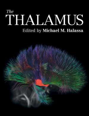 The Thalamus de Michael M. Halassa