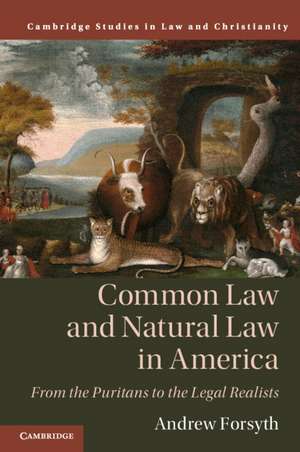 Common Law and Natural Law in America: From the Puritans to the Legal Realists de Andrew Forsyth