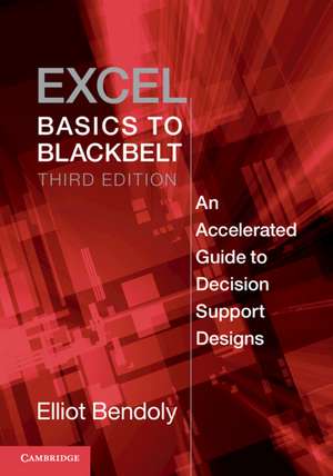 Excel Basics to Blackbelt: An Accelerated Guide to Decision Support Designs de Elliot Bendoly