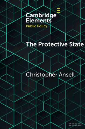 The Protective State de Christopher Ansell