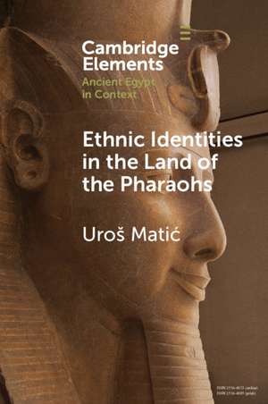 Ethnic Identities in the Land of the Pharaohs: Past and Present Approaches in Egyptology de Uroš Matić