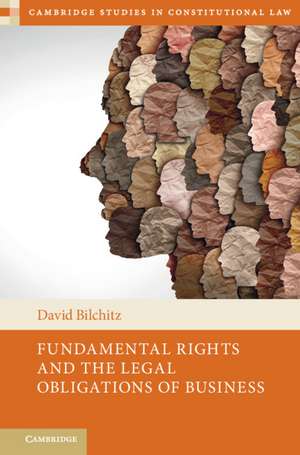 Fundamental Rights and the Legal Obligations of Business de David Bilchitz