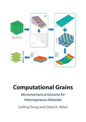 Computational Grains: Micromechanical Genome for Heterogeneous Materials de Leiting Dong