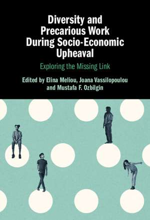 Diversity and Precarious Work During Socio-Economic Upheaval: Exploring the Missing Link de Elina Meliou