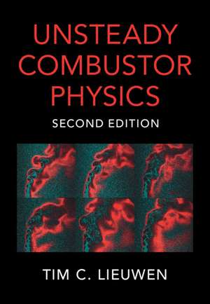 Unsteady Combustor Physics de Tim C. Lieuwen