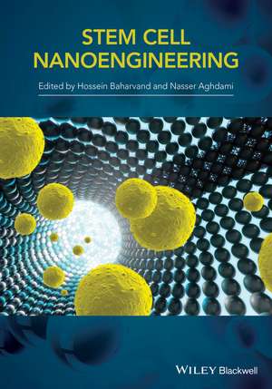 Stem Cell Nanoengineering de H Baharvand