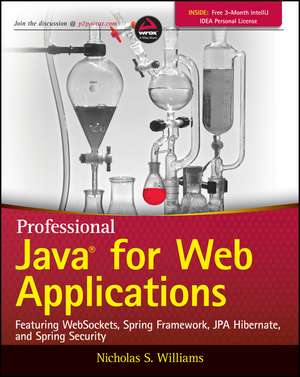 Professional Java for Web Applications de NS Williams