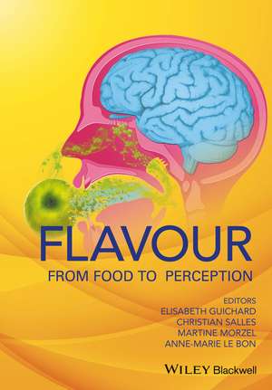 Flavour – From Food to Perception de E Guichard