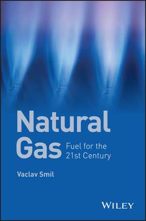 Natural Gas – Fuel for the 21st Century de V Smil