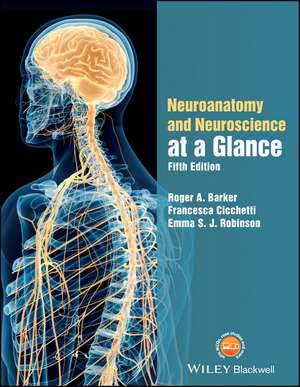 Neuroanatomy and Neuroscience at a Glance de RA Barker