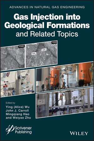 Gas Injection into Geological Formations and Related Topics de A Wu