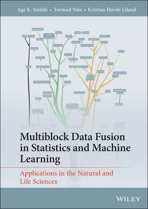 Multiblock Data Fusion in Statistics and Machine Learning de Age K Smilde