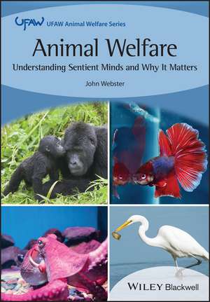 Animal Welfare: Understanding Sentient Minds and W hy It Matters de JG Webster