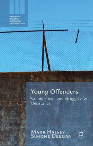 Young Offenders: Crime, Prison and Struggles for Desistance de M. Halsey