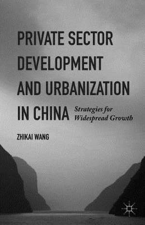 Private Sector Development and Urbanization in China: Strategies for Widespread Growth de Zhikai Wang