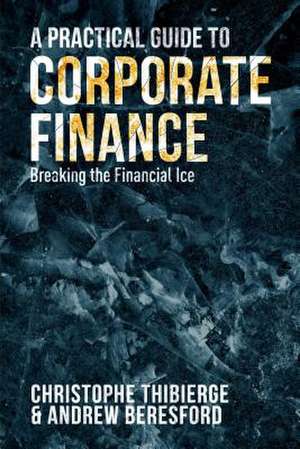 A Practical Guide to Corporate Finance: Breaking the Financial Ice de Christophe Thibierge