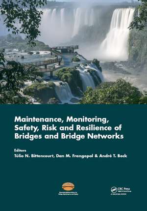 Maintenance, Monitoring, Safety, Risk and Resilience of Bridges and Bridge Networks de Tulio Nogueira Bittencourt