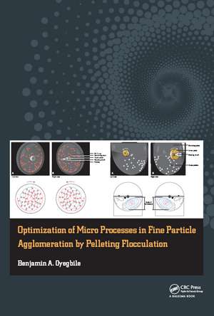 Optimization of Micro Processes in Fine Particle Agglomeration by Pelleting Flocculation de Benjamin Oyegbile