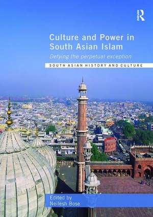 Culture and Power in South Asian Islam: Defying the Perpetual Exception de Neilesh Bose