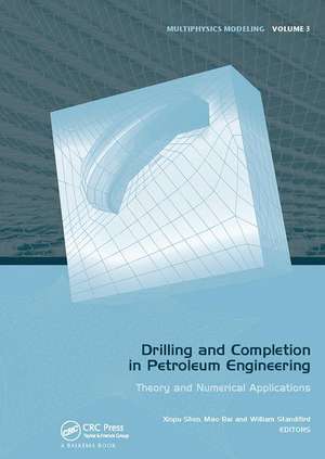 Drilling and Completion in Petroleum Engineering: Theory and Numerical Applications de Xinpu Shen