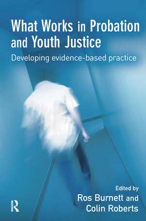 What Works in Probation and Youth Justice de Ros Burnett