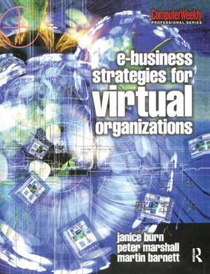 e-Business Strategies for Virtual Organizations de Janice Burn