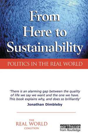 From Here to Sustainability: Politics in the Real World de Ian Christie