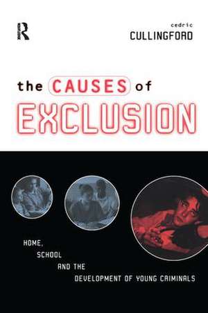 The Causes of Exclusion: Home, School and the Development of Young Criminals de Cedric Cullingford