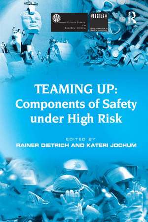 Teaming Up: Components of Safety Under High Risk de Kateri Jochum