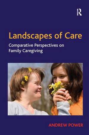 Landscapes of Care: Comparative Perspectives on Family Caregiving de Andrew Power