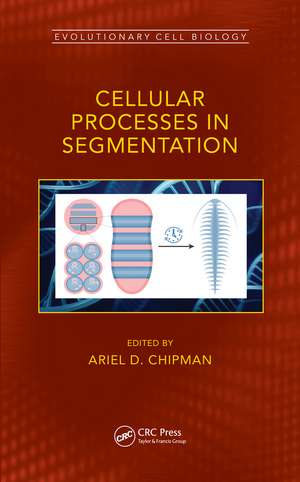 Cellular Processes in Segmentation de Ariel Chipman