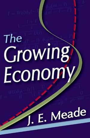 The Growing Economy de J. E. Meade