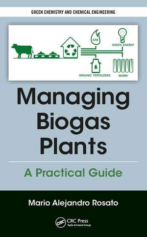 Managing Biogas Plants: A Practical Guide de Mario Alejandro Rosato