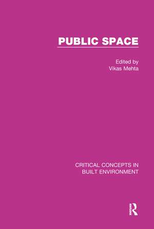 Public Space de Vikas Mehta