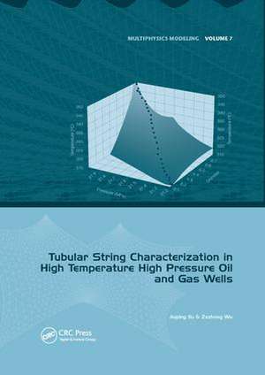 Tubular String Characterization in High Temperature High Pressure Oil and Gas Wells de Jiuping Xu