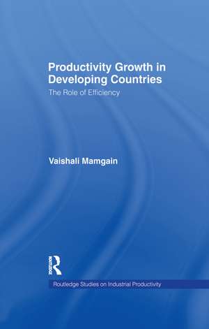 Productivity Growth in Developing Countries: The Role of Efficiency de Vaishali Mamgain