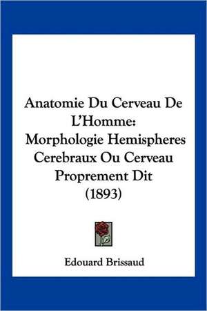 Anatomie Du Cerveau De L'Homme de Edouard Brissaud