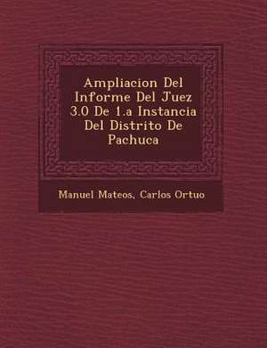 Ampliacion Del Informe Del Juez 3.0 De 1.a Instancia Del Distrito De Pachuca de Manuel Mateos