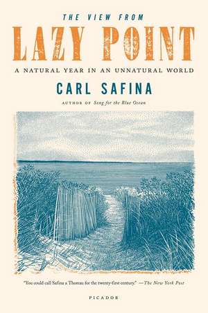 View from Lazy Point de Carl Safina