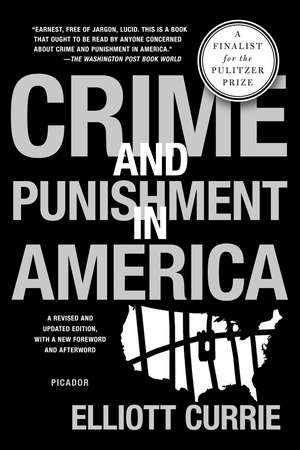 Crime and Punishment in America de Elliott Currie