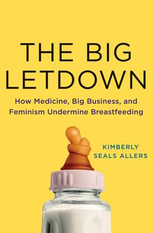 The Big Letdown de Kimberly Seals Allers