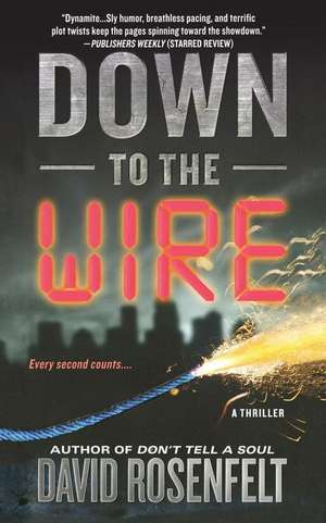 Down to the Wire de David Rosenfelt