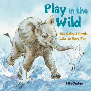 Judge, L: Play in the Wild de Lita Judge