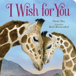 I Wish for You de David Wax