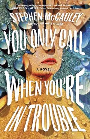 You Only Call When You're in Trouble de Stephen McCauley