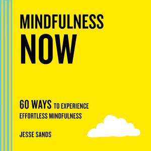 Mindfulness Now de Jesse Sands