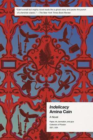 Indelicacy de Amina Cain