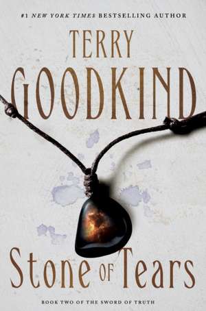 Stone of Tears de Terry Goodkind